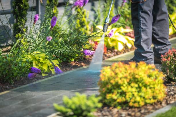 Best Dumpster Area Cleaning  in Pine Island, MN