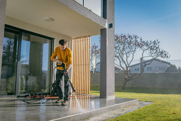 Best House Exterior Washing  in Pine Island, MN