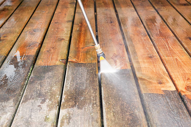 Best Patio and Deck Pressure Washing  in Pine Island, MN